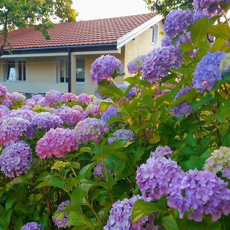 Cvjetni Apartmani Цетине Екстериор снимка